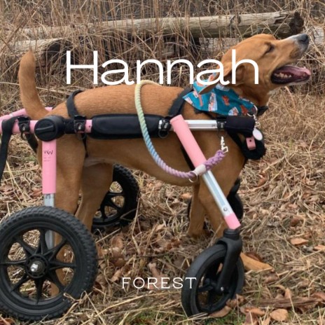 Hannah cover art