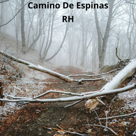 Cero Cristal cover art