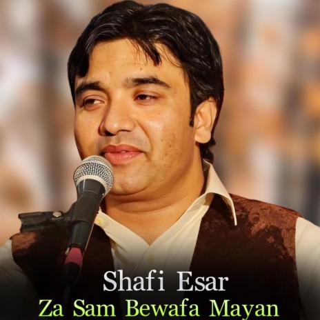 Shah Zargari Baroo New Tappe cover art