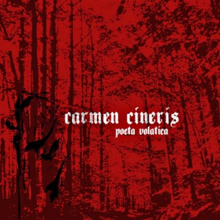Poeta Volatica
