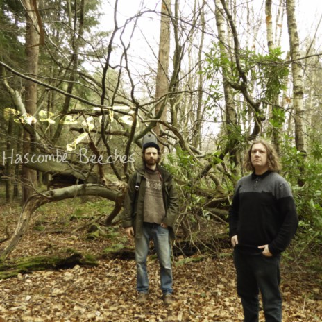 Hascombe Beeches cover art