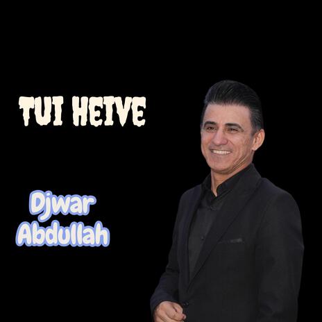 Tui Heive cover art