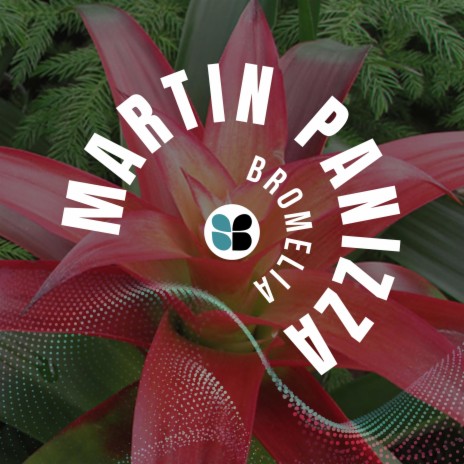 Bromelia cover art