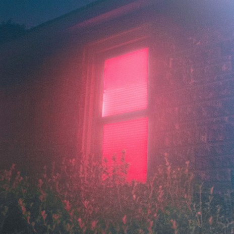 Velvet Light cover art