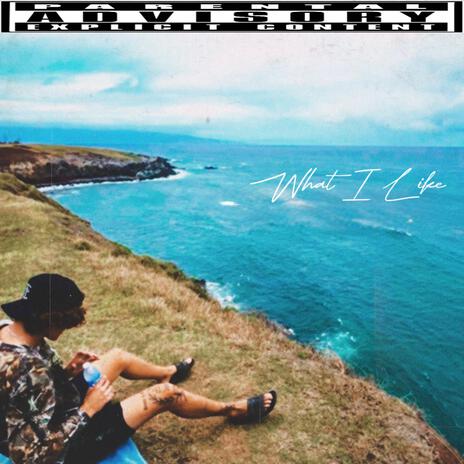 What I Like cover art