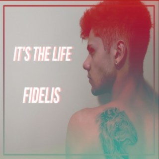 It's The Life cover art