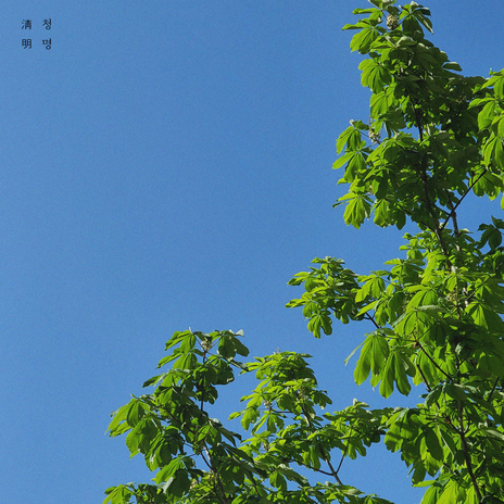 beginning of spring ft. CHOI cover art