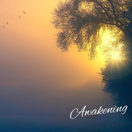 Awakening cover art