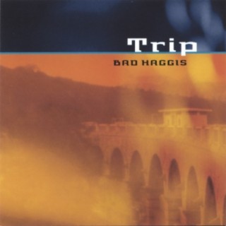Trip