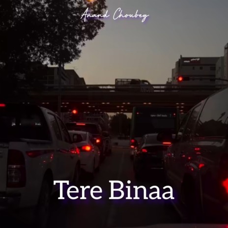 Tere Binaa cover art