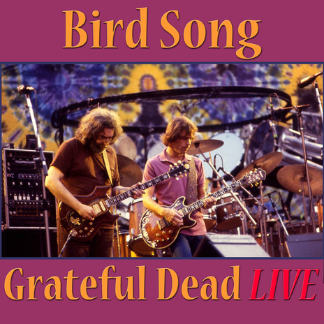 Uncle John's Band (Live) cover art