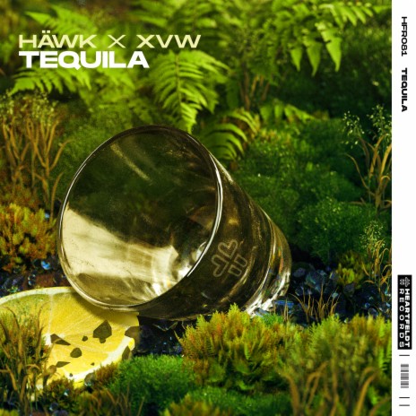 Tequila ft. Max Niklas cover art