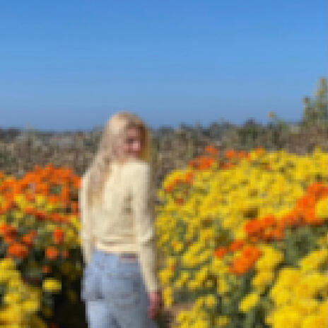 SCENERY cover art