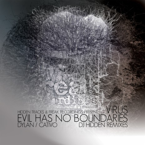 Virus (DJ Hidden Remix) cover art