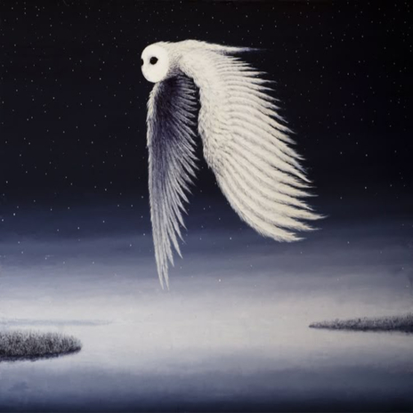 owl