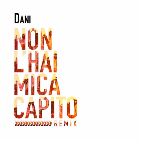 Non l'hai mica capito (Remix) cover art