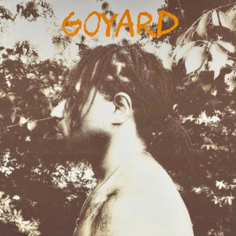 GOYARD cover art