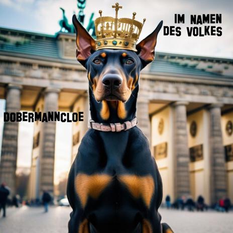Ein Volk Erwacht cover art
