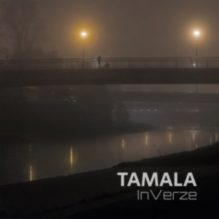 InVerze