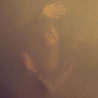 Silhouettes In Amber