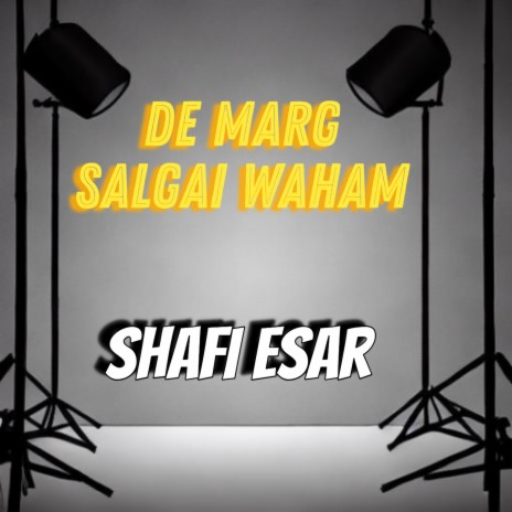 De Marg Salgai Waham cover art