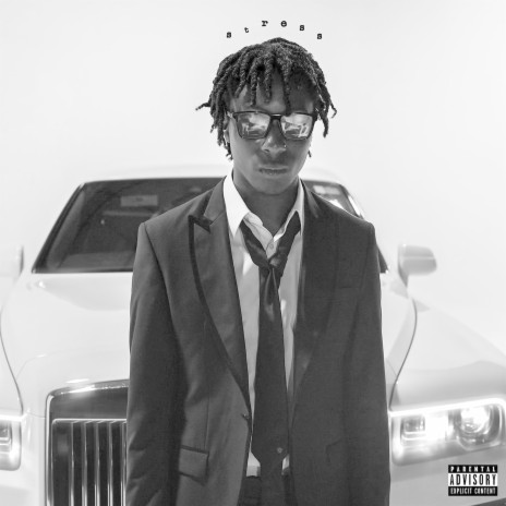 Stress cover art