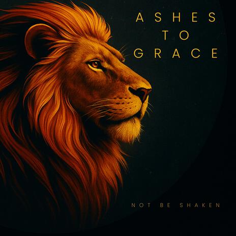 In The Shadow of Your Wings (Acoustic) cover art