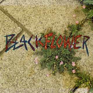 Blackflower