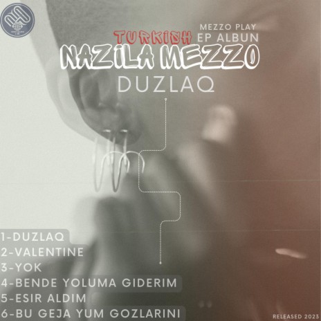 Esir aldım cover art