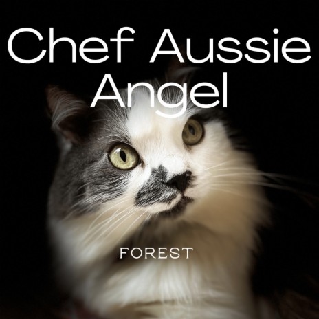 Chef Aussie Angel cover art