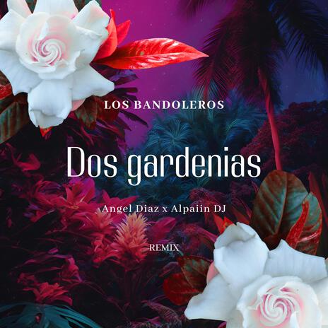 DOS GARDENIAS (Special Version) ft. Angel Diaz & alpaiin dj cover art