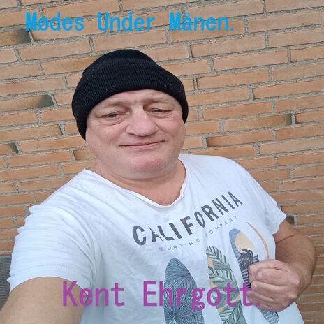 De Ensomme Nætter cover art