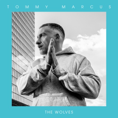 The Wolves (Radio Edit) cover art