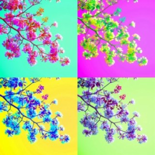 Florist EP