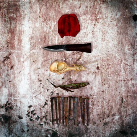 We Left Like Birds cover art