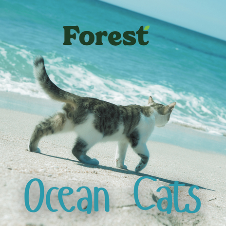 Storm Over the Ocean (Ocean Cats) cover art