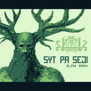 Syt pa seji (8bit Version) ft. Varang Nord cover art