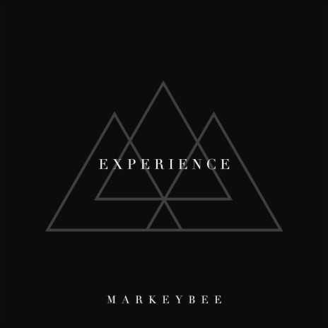 Experience cover art