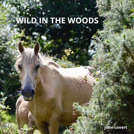 Wild in the Woods cover art