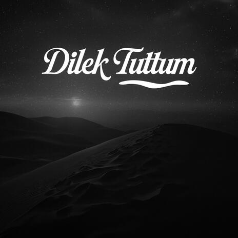 Dilek Tuttum cover art