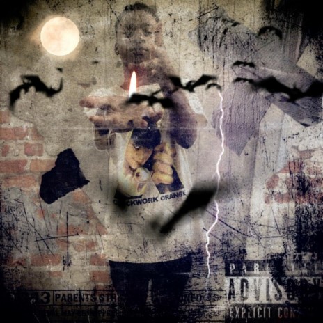 Mirror cover art