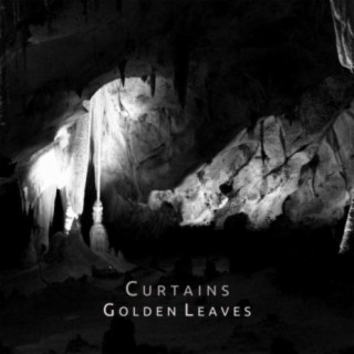 Golden Leaves (Demo Version) cover art