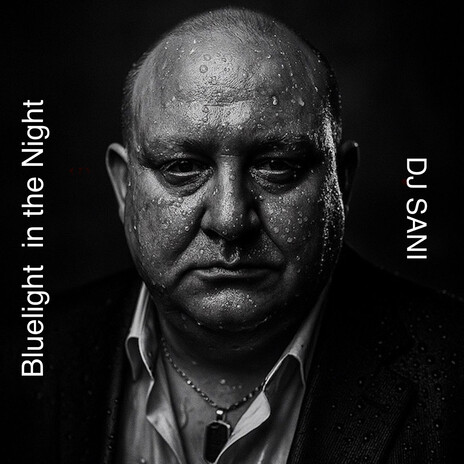 Bluelight in the Night cover art