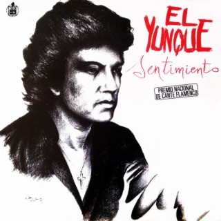 Sentimiento