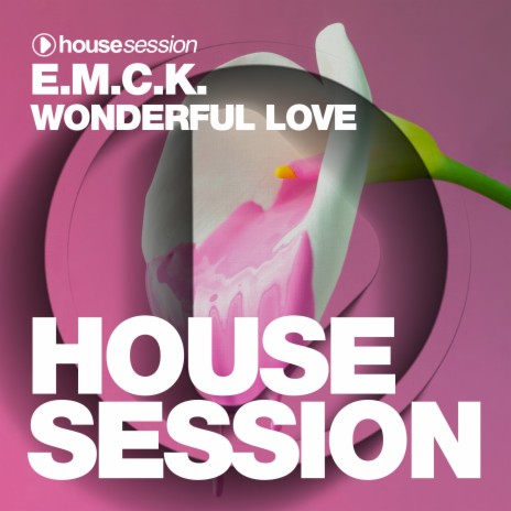 Wonderful Love (9th Style Mix) cover art