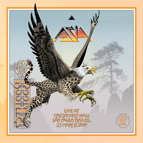 Wildest Dreams (Live at The Credicard Hall São Paulo, Brazil, 23 March 2007) cover art