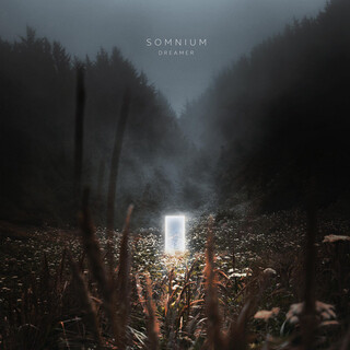 Dreamer cover art