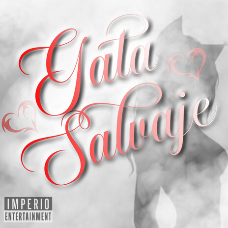 Gata Salvaje cover art