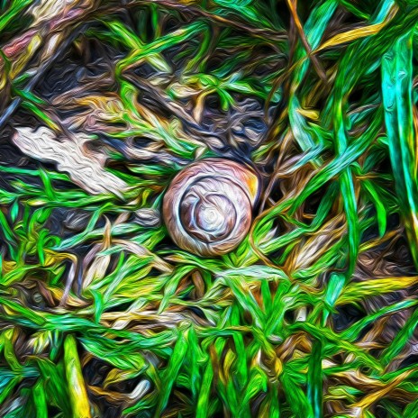 Running in Circles, Living in Loops cover art
