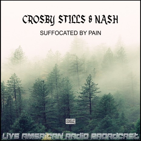 Wasted On The Way (Live) cover art